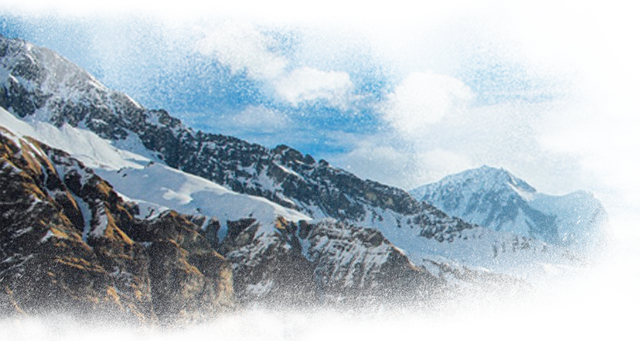 富有渲染力的设计，提高用户体验感